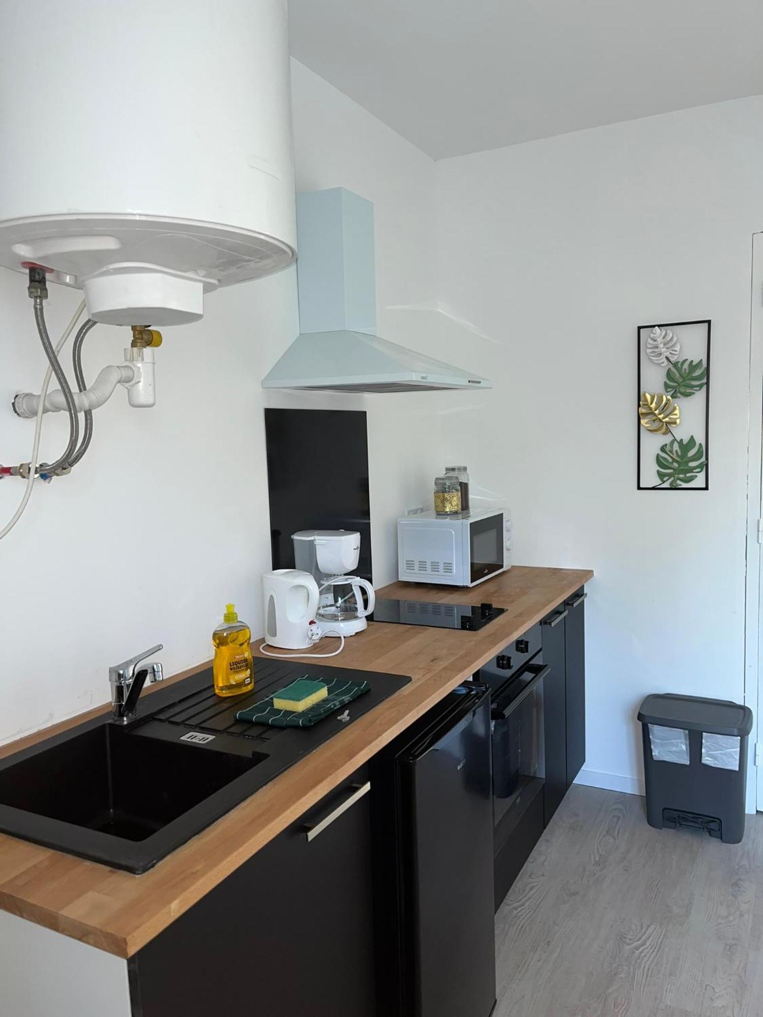 Studio Tropical , Vierzon , Proche Gare , Tout Confort Bagian luar foto